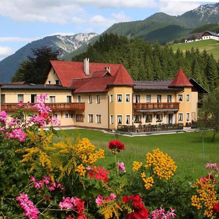 Hotel Waldesruh 伊布斯河畔的戈斯特林 外观 照片