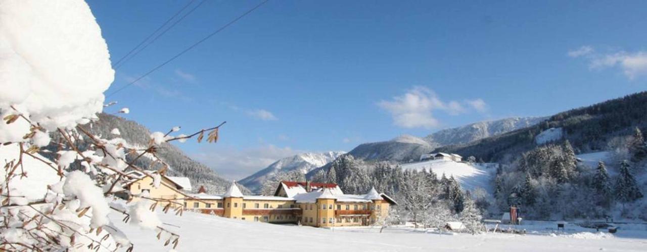 Hotel Waldesruh 伊布斯河畔的戈斯特林 外观 照片